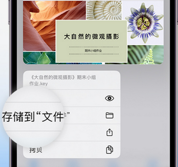 新县apple维修中心分享iPhone文件应用中存储和找到下载文件