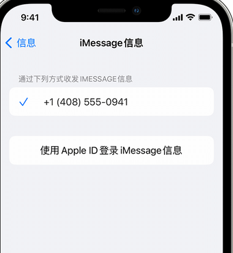 新县apple维修iPhone上无法正常发送iMessage信息 