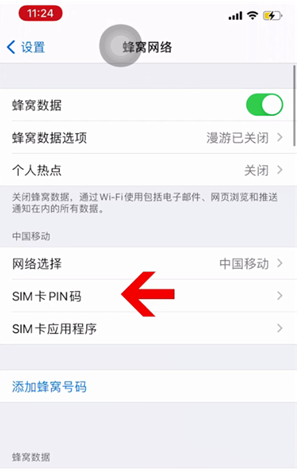 新县苹果14维修网分享如何给iPhone14的SIM卡设置密码 