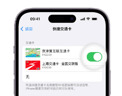 新县apple维修点分享iPhone上更换Apple Pay快捷交通卡手绘卡面 