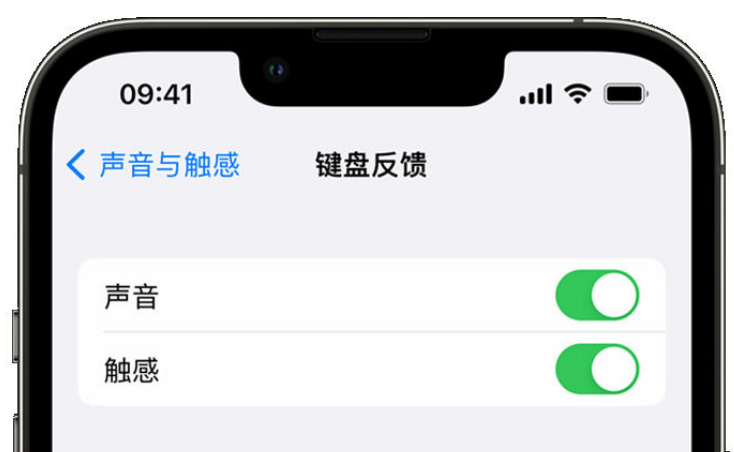 新县苹果手机维修分享iPhone 14触感键盘使用方法 