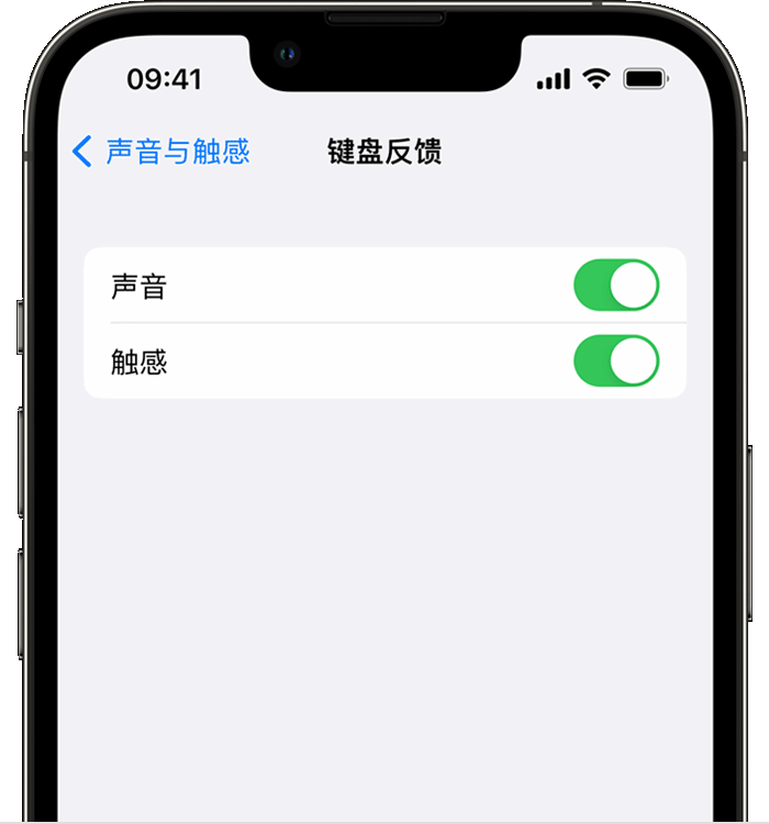 新县苹果14维修店分享如何在 iPhone 14 机型中使用触感键盘 