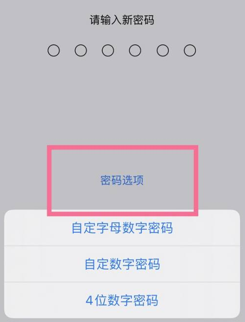 新县苹果14维修分享iPhone 14plus设置密码的方法 