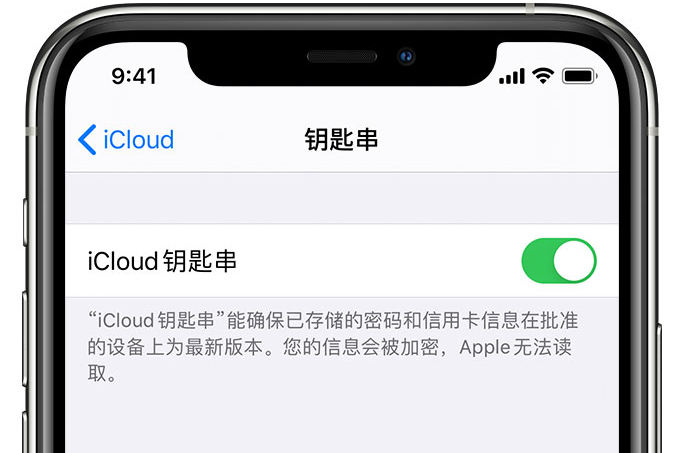 新县苹果手机维修分享在 iPhone 上开启 iCloud 钥匙串之后会储存哪些信息 