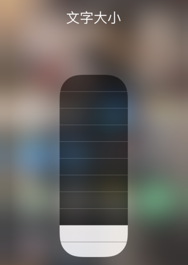 新县苹果手机维修分享小技巧：在 iPhone 控制中心快速调节字体大小 