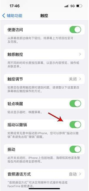 新县苹果手机维修分享iPhone手机如何设置摇一摇删除文字 