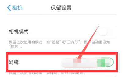 新县苹果13维修分享iPhone13拍照有绿点是怎么回事 