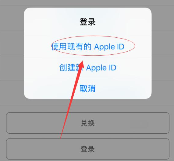新县苹果手机维修分享两台iPhone设备可以同时登录一个Apple ID吗 