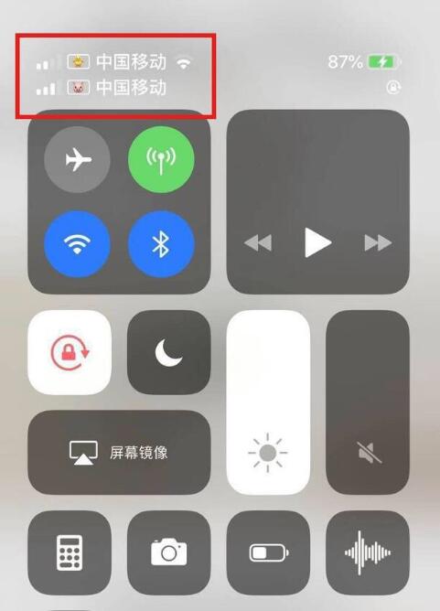 新县苹果手机维修分享为 iPhone 12 双卡设置标签 
